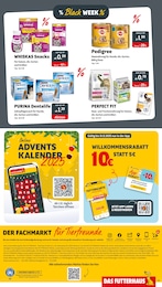 Das Futterhaus Hundefutter im Prospekt 