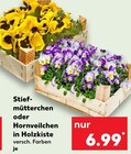 Stiefmütterchen oder Hornveilchen in Holzkiste Angebote bei Kaufland Düren für 6,99 €