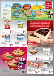 Feta Angebot im aktuellen Selgros Prospekt auf Seite 11