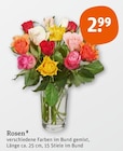 Rosen Angebote bei tegut Mühlhausen für 2,99 €