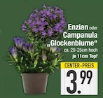 E center Stadtbergen - Enzian Angebot im Prospekt Enzian bei E center im Stadtbergen Prospekt für 3,99 €