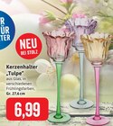 Aktuelles Kerzenhalter Tulpe Angebot bei Kaufhaus Stolz in Bremerhaven ab 6,99 €