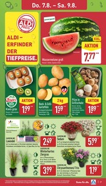 Aktueller ALDI Nord Prospekt mit Lavendel, "Aktuelle Angebote", Seite 27