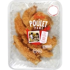 Tenders de poulet pané à 4,00 € dans le catalogue Carrefour