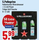 Italienisches Mineralwasser von S.Pellegrino im aktuellen Trinkgut Prospekt für 5,99 €