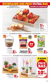 Catalogue Super U en cours à Noisy-le-Grand, "Super U", Page 33