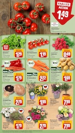 Pilze Angebot & Preis im aktuellen REWE Prospekt Pilze Angebot im aktuellen REWE Prospekt auf Seite 11