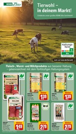 Ähnliche Gänsebrust Angebote im Prospekt "Dein Markt" von REWE in Karlsruhe Ähnliche Angebote wie Gänsebrust im Prospekt "Dein Markt" auf Seite 11 von REWE in Karlsruhe