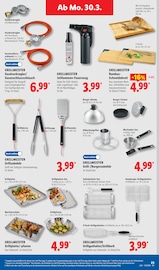 Grillzubehör im Lidl Prospekt in Germering Aktueller Lidl Prospekt mit Grillzubehör, "LIDL LOHNT SICH", Seite 45