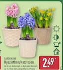 Hyazinthen von Gardenline für 2,49 € bei ALDI Nord im Angebot Hyazinthen von Gardenline im aktuellen ALDI Nord Prospekt