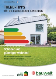 Delmes Bauwelt Prospekt "Trend-Tipps für die energetische Sanierung" für Garstedt, 8 Seiten, 14.03.2025 - 23.03.2025