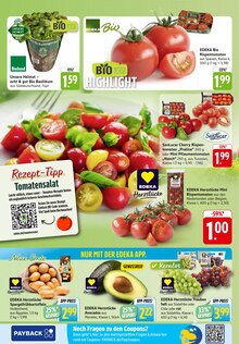 Kartoffeln im aktuellen EDEKA Prospekt (Ludwigshafen (Rhein)) Kartoffeln im EDEKA Prospekt "Aktuelle Angebote" mit 50 Seiten (Ludwigshafen (Rhein))