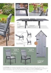 Aktueller porta Möbel Prospekt mit Gartenhaus, "LOUNGE, DINING & ACCESSOIRES", Seite 37