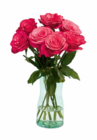Großköpfige Hochland Rosen im Angebot bei Netto Marken-Discount in Pforzheim Großköpfige Hochland Rosen Angebote von Fairtrade bei Netto Marken-Discount Pforzheim für 4,44 €