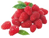 Himbeeren im Angebot bei REWE in Beckum Himbeeren Angebote bei REWE Beckum für 1,79 €