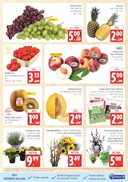 Pflanzen Angebot im aktuellen Marktkauf Prospekt auf Seite 7