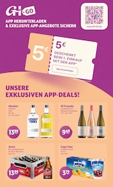 Aktueller Getränke Hoffmann Prospekt mit Vodka, "Aktuelle Angebote", Seite 9