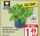 XXL-Basilikum im Angebot bei EDEKA in Potsdam XXL-Basilikum Angebote von EDEKA Herzstücke bei EDEKA Potsdam für 1,49 €
