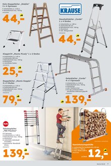 Kaminholz im Globus-Baumarkt Prospekt "Immer eine Idee besser" mit 12 Seiten (Wolfsburg)