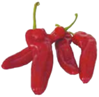 EDEKA Frischemarkt Braak - Spitzpaprika Angebot im Prospekt Spitzpaprika bei EDEKA Frischemarkt im Braak Prospekt für 1,99 €