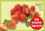 Aktuelles Erdbeeren Angebot bei EDEKA in Koblenz