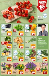 Paprika im REWE Prospekt in Germering Aktueller REWE Prospekt mit Paprika, "Dein Markt", Seite 7