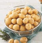 Pomme de Terre Primeur de Noirmoutier ou Ile de Ré - Super U à Épinal Pomme de Terre Primeur de Noirmoutier ou Ile de Ré en promo chez Super U Épinal à 2,69 €