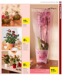 Promo Plantes dans le catalogue Carrefour du moment à la page 9