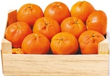Netto mit dem Scottie Höhnstedt - Clementinen Angebot im Prospekt Clementinen bei Netto mit dem Scottie im Höhnstedt Prospekt für 3,99 €