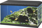 Aquarium 60 LED - Noir - CIANO en promo chez Animalis Aquarium 60 LED - Noir - CIANO dans le catalogue Animalis