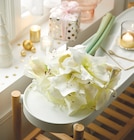 Bouquet 3 Amaryllis avec feuillage à 9,99 € dans le catalogue Intermarché Hyper