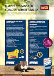 Bosch im Bosch Car Service Prospekt "Kleine Details. Große Wirkung. Meine Werkstatt mit AHA-Effekt." auf Seite 20