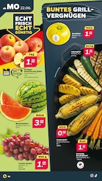 Aubergine Angebot & Preis im aktuellen Netto mit dem Scottie Prospekt Aubergine Angebot im aktuellen Netto mit dem Scottie Prospekt auf Seite 2