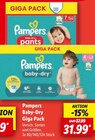 Baby-Dry Angebote von Pampers bei Lidl Braunschweig für 31,99 €