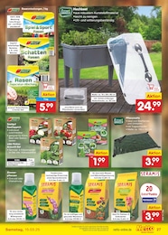 Saatgut Angebot im aktuellen Netto Marken-Discount Prospekt auf Seite 39