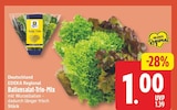 Ballensalat-Trio-Mix von EDEKA Regional im aktuellen EDEKA Prospekt