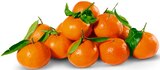 Aktuelles Blattclementinen Angebot bei REWE in Frankfurt (Main) ab 1,99 €