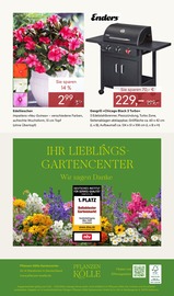 Enders Angebote im Prospekt "GÄRTNERN & GENIESSEN" von Pflanzen Kölle auf Seite 12