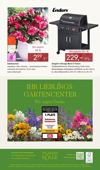 Gasgrill im Pflanzen Kölle Prospekt "GÄRTNERN & GENIESSEN" mit 12 Seiten (München)