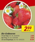 Aktuelle Erdbeeren Angebote bei toom Baumarkt in Mannheim Aktuelles Bio-Erdbeeren Angebot bei toom Baumarkt in Mannheim ab 2,99 €