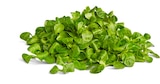 Bio-Feldsalat im Angebot bei Penny in Ravensburg Bio-Feldsalat Angebote von Naturgut bei Penny Ravensburg für 1,00 €