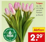 Tulpen  im aktuellen Netto Marken-Discount Prospekt für 2,29 €