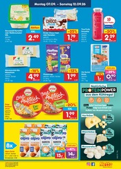 Kissen im Netto Marken-Discount Prospekt in Frankfurt Aktueller Netto Marken-Discount Prospekt mit Kissen, "Aktuelle Angebote", Seite 36