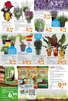 Gartenerde im aktuellen Globus-Baumarkt Prospekt (Ingolstadt) Gartenerde im Globus-Baumarkt Prospekt "Immer eine Idee besser" mit 17 Seiten (Ingolstadt)