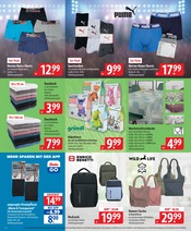 Socken im famila Nordost Prospekt in Stralsund Aktueller famila Nordost Prospekt mit Socken, "besser als gut!", Seite 22