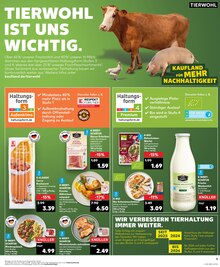 Milch im Kaufland Prospekt "KNÜLLER" mit 28 Seiten (Jena)
