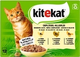 Geflügel Allerlei Angebote von Kitekat bei REWE Kiel für 2,99 €