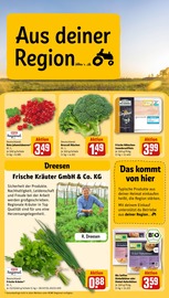 Tierbedarf im REWE Prospekt in Bergheim Aktueller REWE Prospekt mit Tierbedarf, "Dein Markt", Seite 26