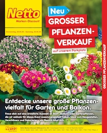 Netto Marken-Discount Prospekt mit 2 Seiten (Angermünde)