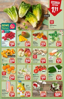 Zucchini im REWE Prospekt "Dein Markt" mit 24 Seiten (Frankfurt (Main))